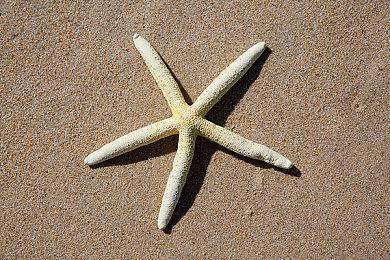 Embracer集团：裁员代价惨重，但这是一个必要的过程